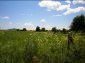 The plot of the land