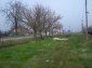 the road leading to the house