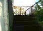 Near the house