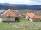 The property