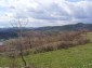 The view from the house