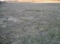 The plot 2