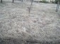 The plot 3