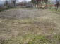 The land