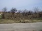 Tha property