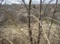 The view near the land