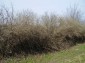 Part of the land