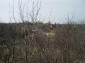 The land