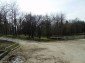 The park near to the plot