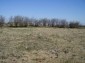 The land