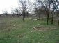 Houses for sale near Varna