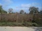 Lands for sale near Varna