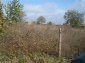 the property