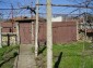 The garden