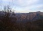 The view from the house