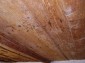 The ceiling