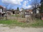 The garden