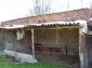 Shelter