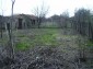 Part of the garden