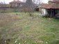 In the yard