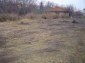 The yard