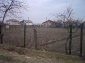 the yard