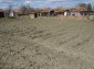 The yard