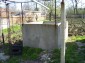 The garden