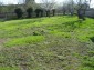 The garden 3