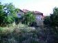The estate