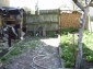 The garden