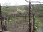 The yard