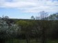 The view from the house