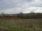 The yard