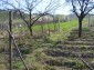 The yard