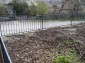 The garden