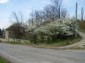 The road