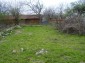 The garden