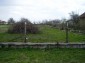 The garden