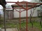 The garden