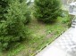 Part of the garden