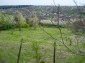 The plot of land