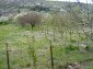 Near the land