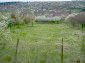 The land