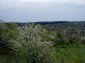 The view from the land