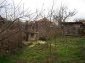 The garden