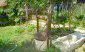 The yard