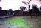 The yard