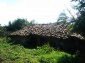 Near the house