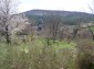 The view from the property